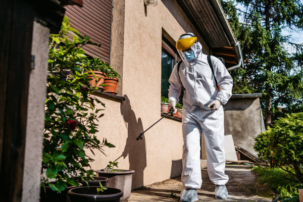 Best Pest Control Near Me in Leadville North, CO