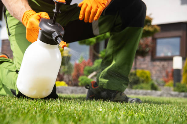 Best Mosquito Control Services  in Leadville North, CO