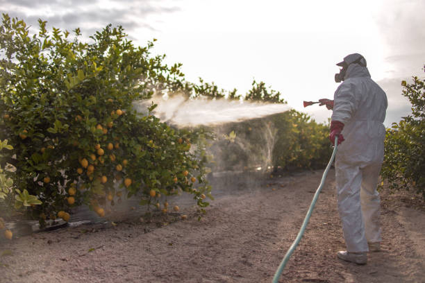 Leadville North, CO Pest Control Company