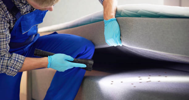Professional Pest Control in Leadville North, CO