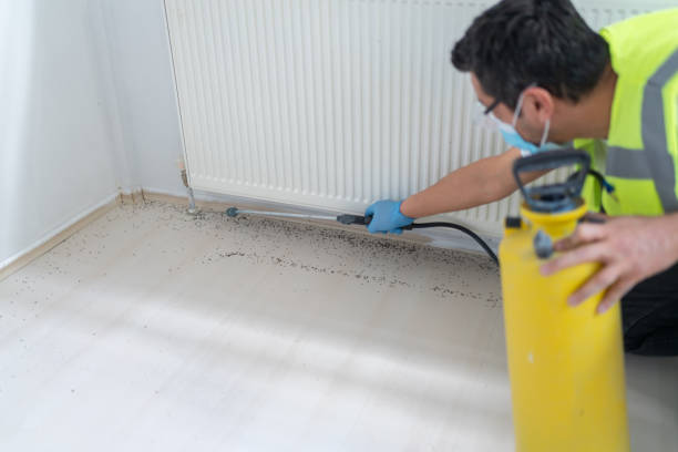 Best Best Pest Control Companies  in Leadville North, CO